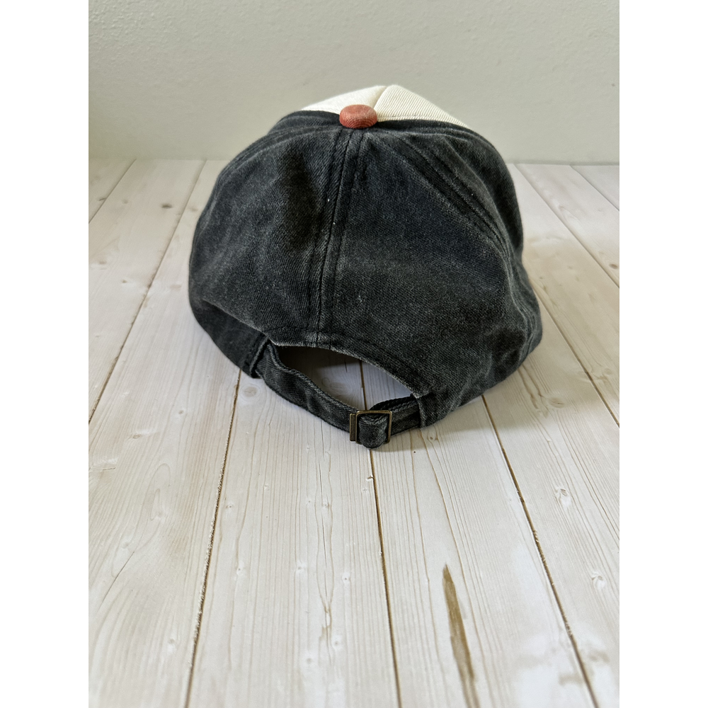 Colorblock Dad Hat – Charcoal/Cream/Rust - Back