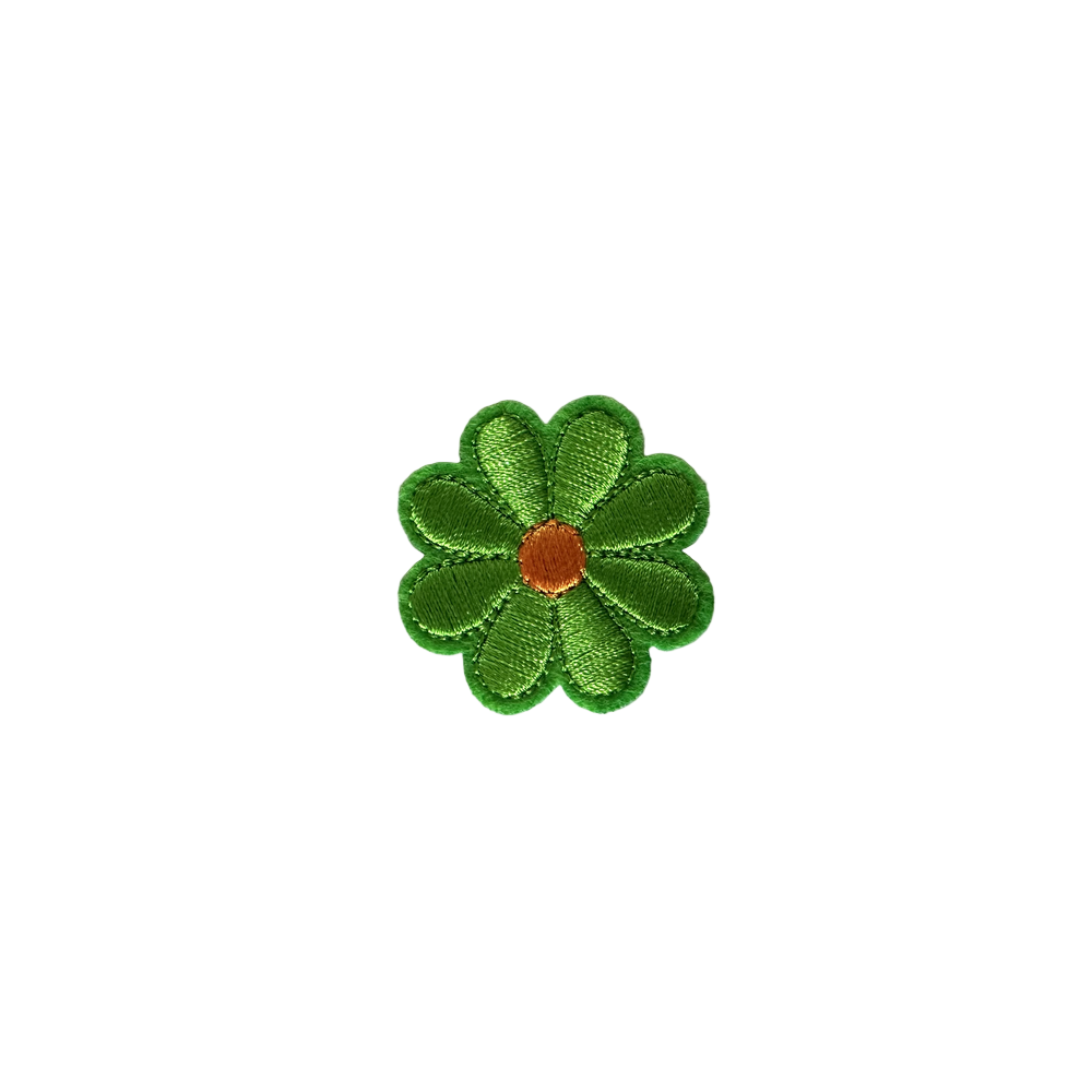 Prickly Pear Daisy Patch